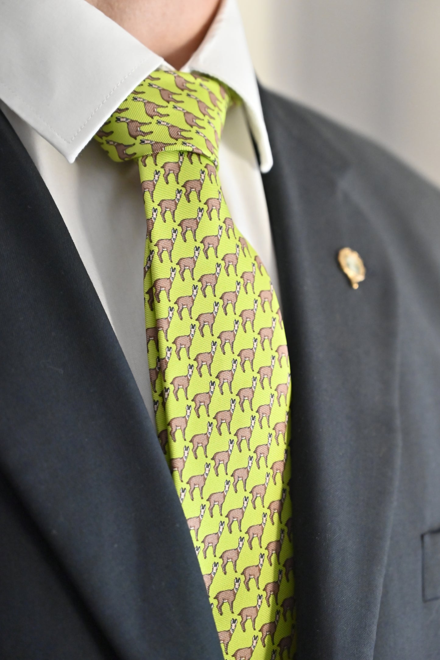 CIC Designer Ties