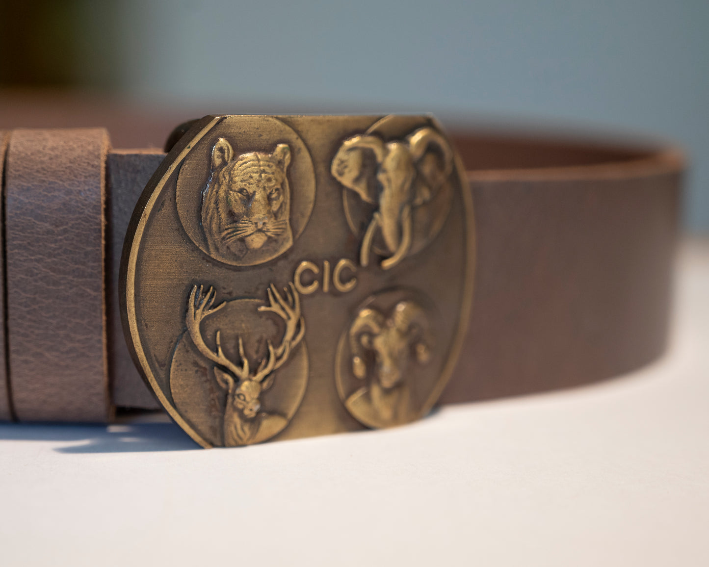 CIC belt