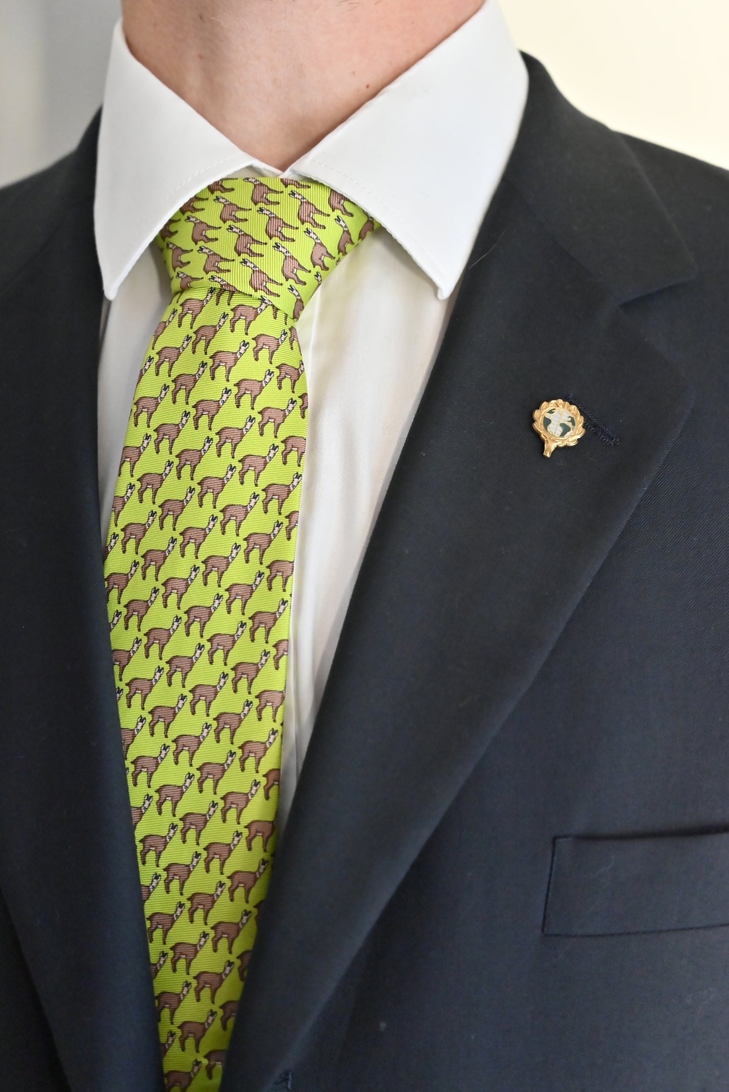 CIC Designer Ties