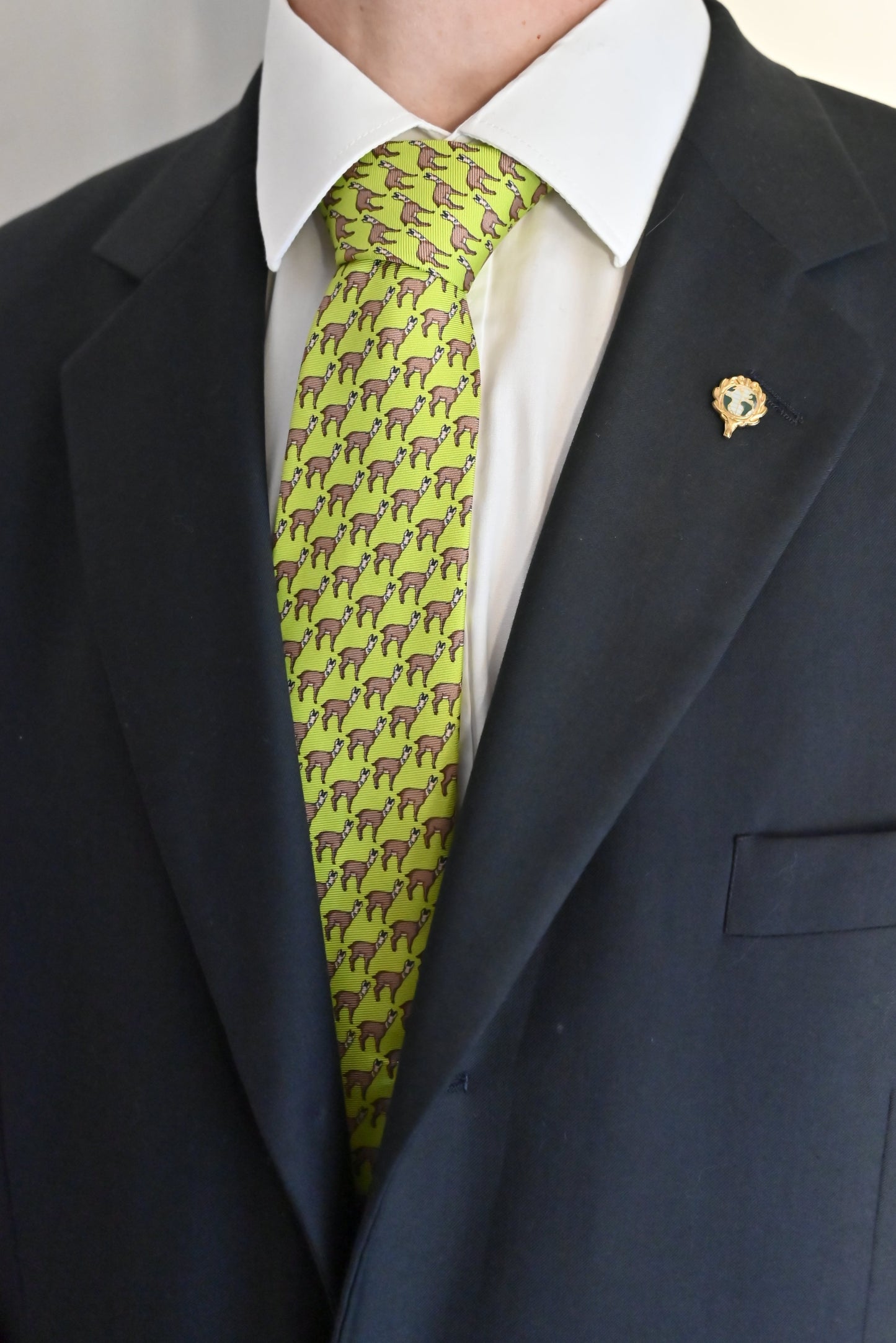 CIC Designer Ties