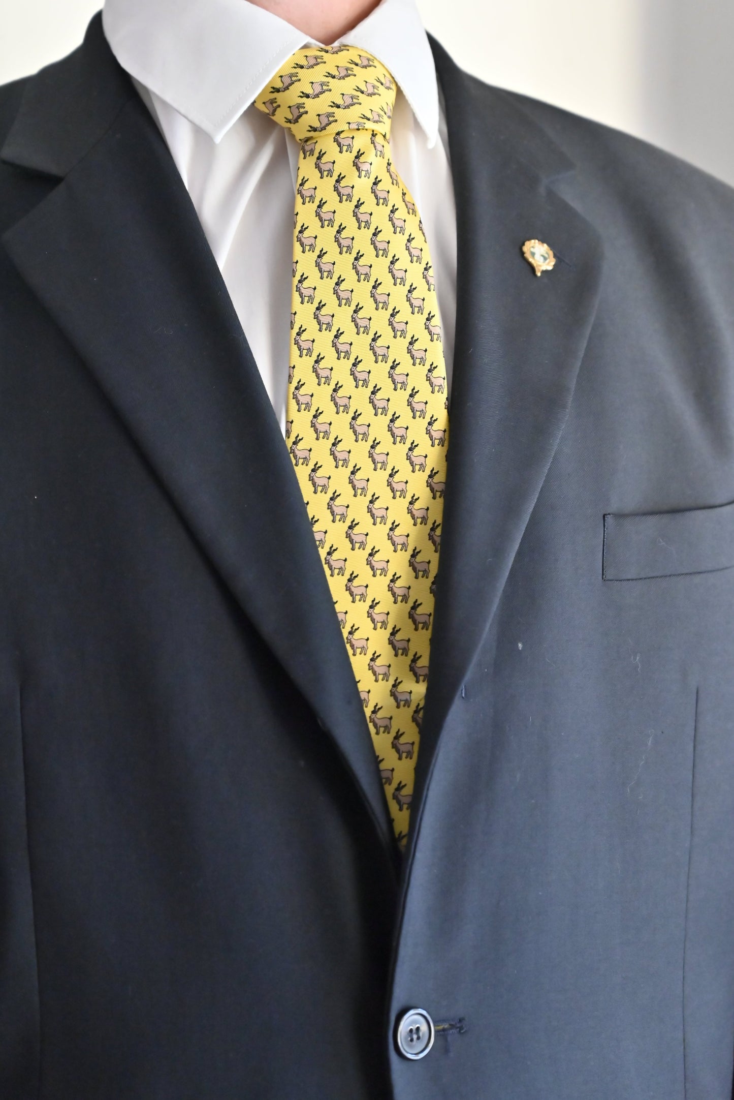 CIC Designer Ties