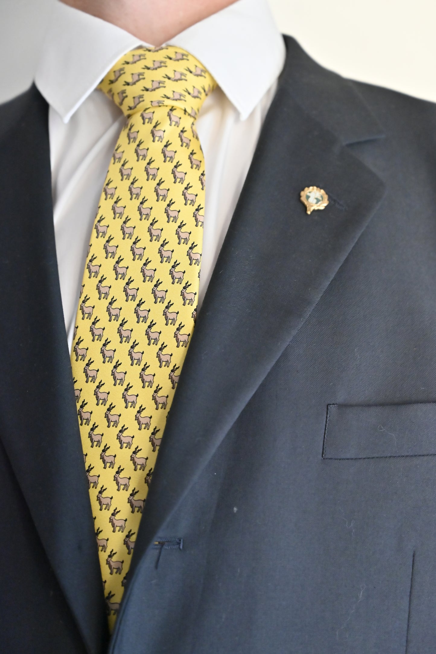 CIC Designer Ties